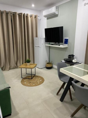 Apartment Artemis
